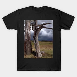 The storm clouds on the horizon T-Shirt